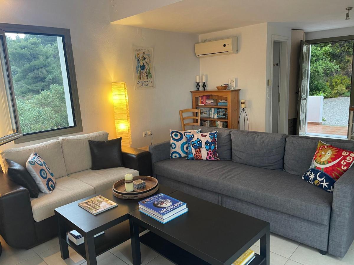 Skiathos Seaview Villa With Pool Punta Екстериор снимка