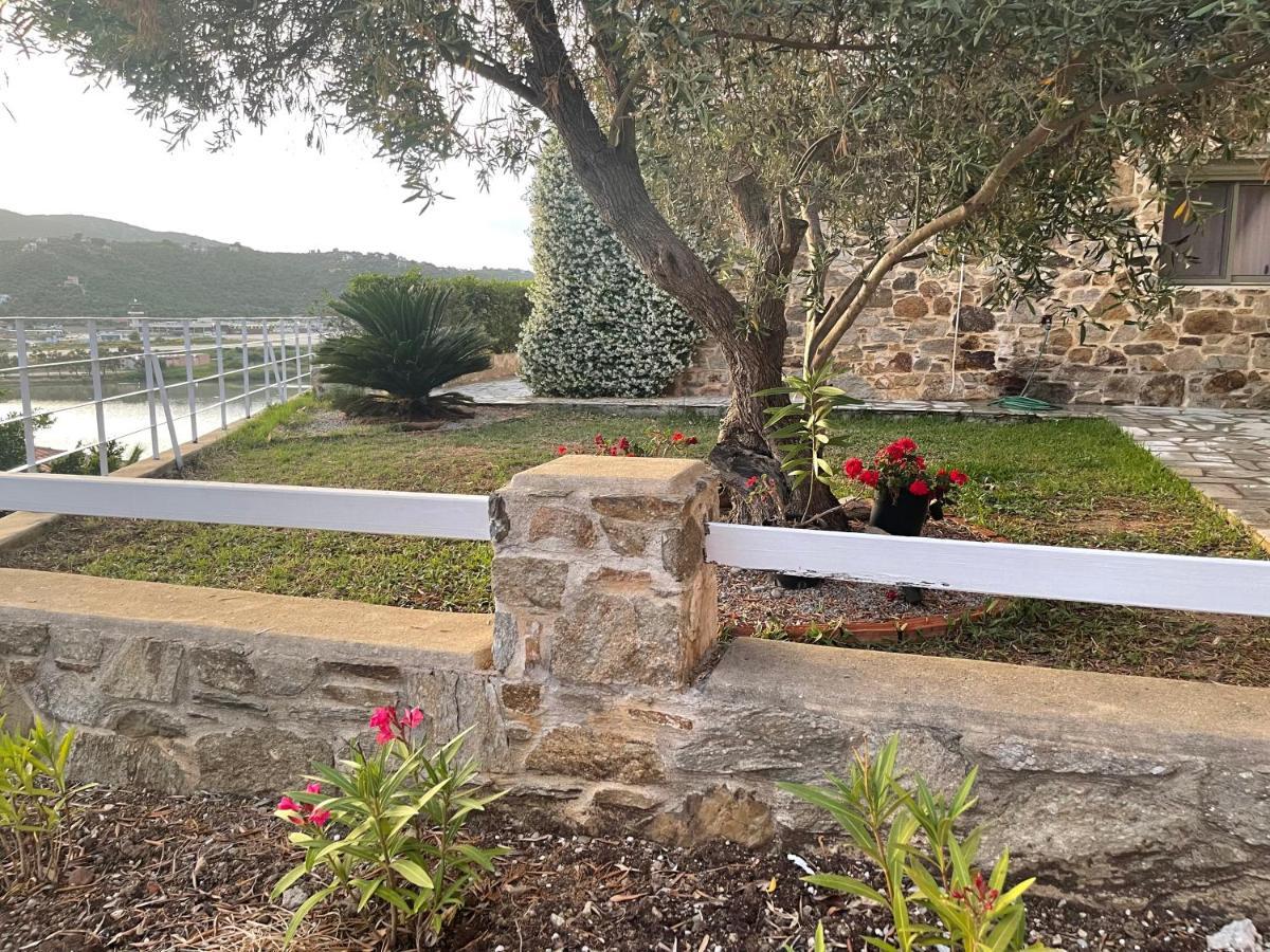 Skiathos Seaview Villa With Pool Punta Екстериор снимка