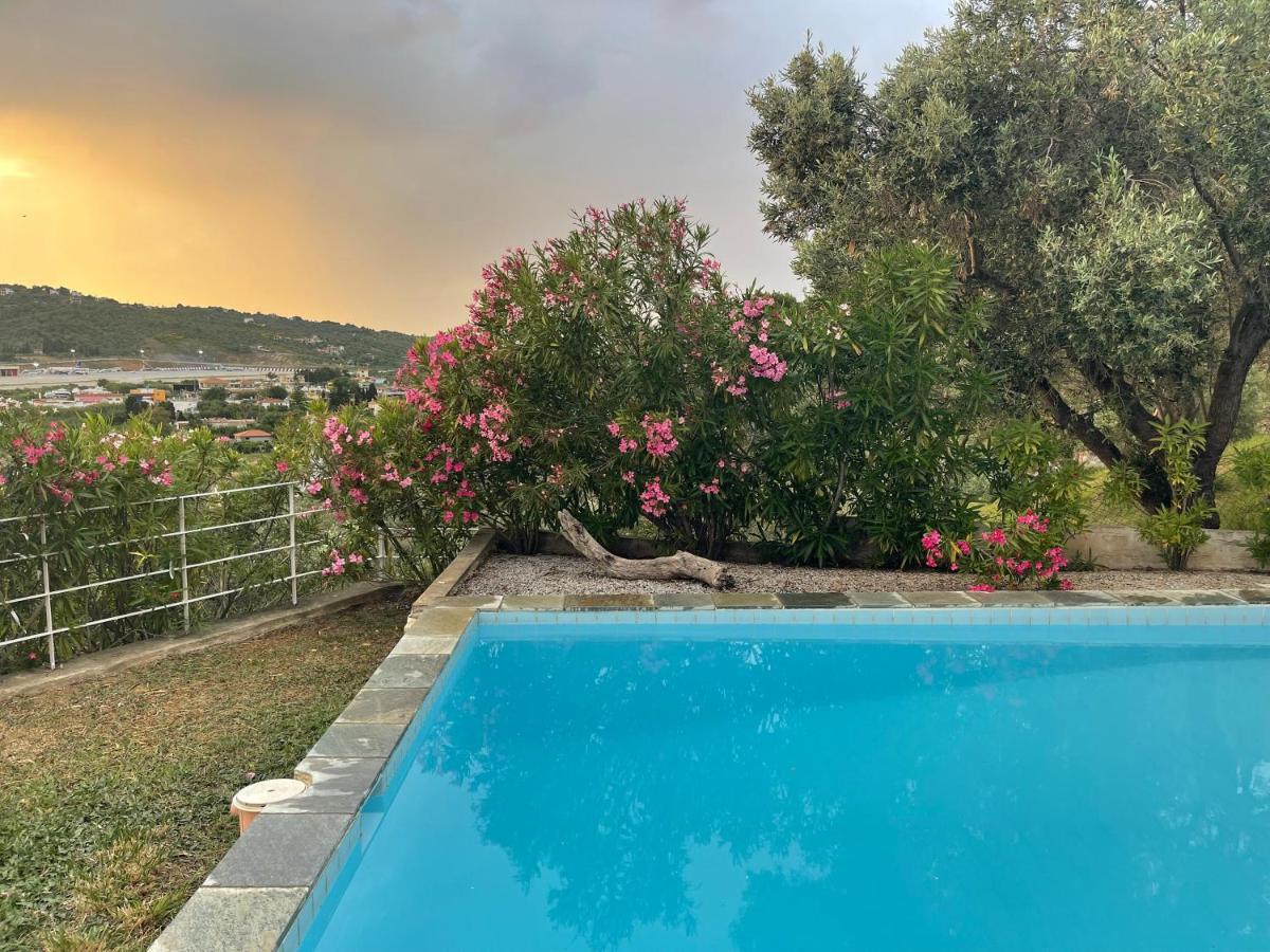Skiathos Seaview Villa With Pool Punta Екстериор снимка